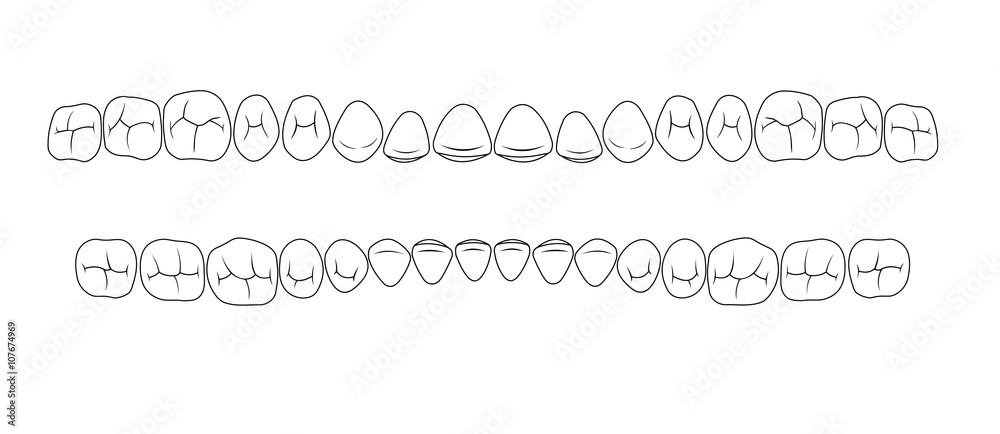 teeth of fissures teeth of fissures