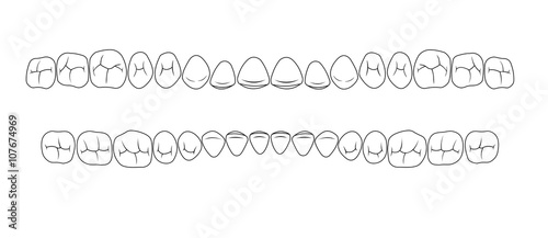 teeth of fissures