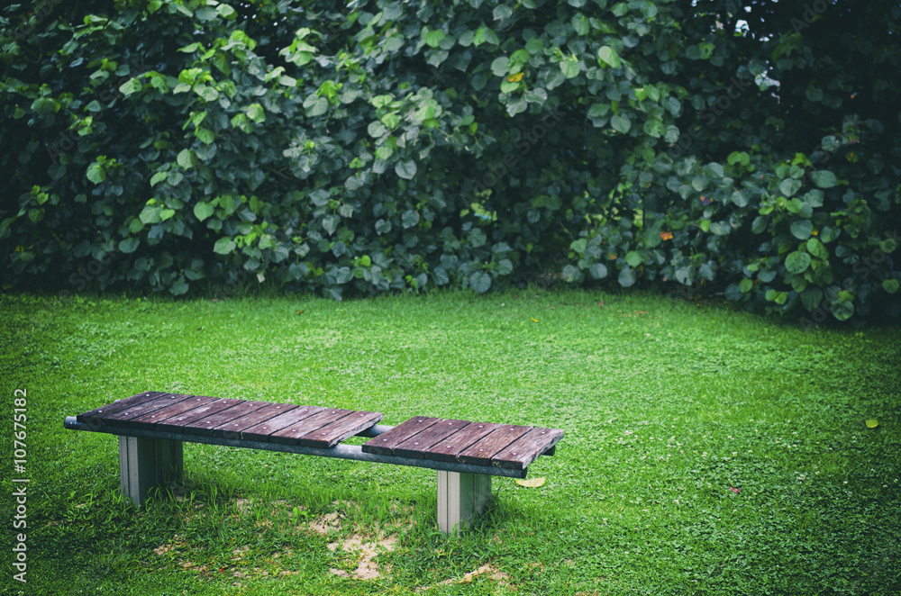 緑の中の古いベンチ