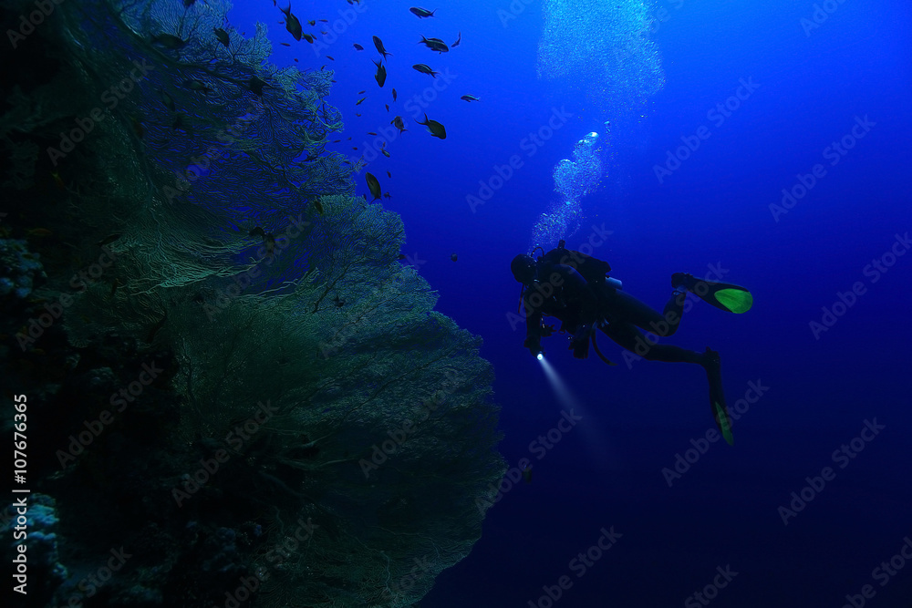 One diver underwater One diver underwater