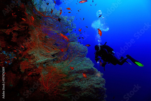 divers underwater the sea