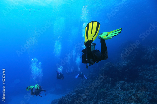 Wallpaper Mural group of divers passing exams open water Torontodigital.ca