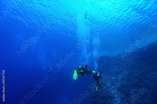freediving scuba photo