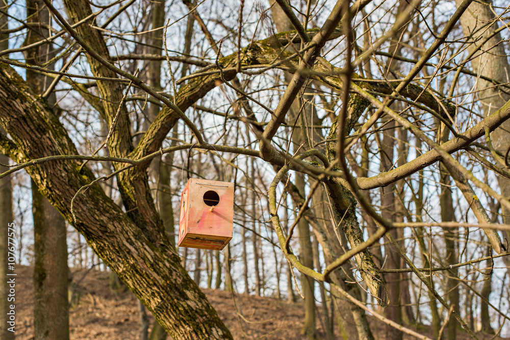 Birdhouse on a tree in spring - obrazy, fototapety, plakaty 
