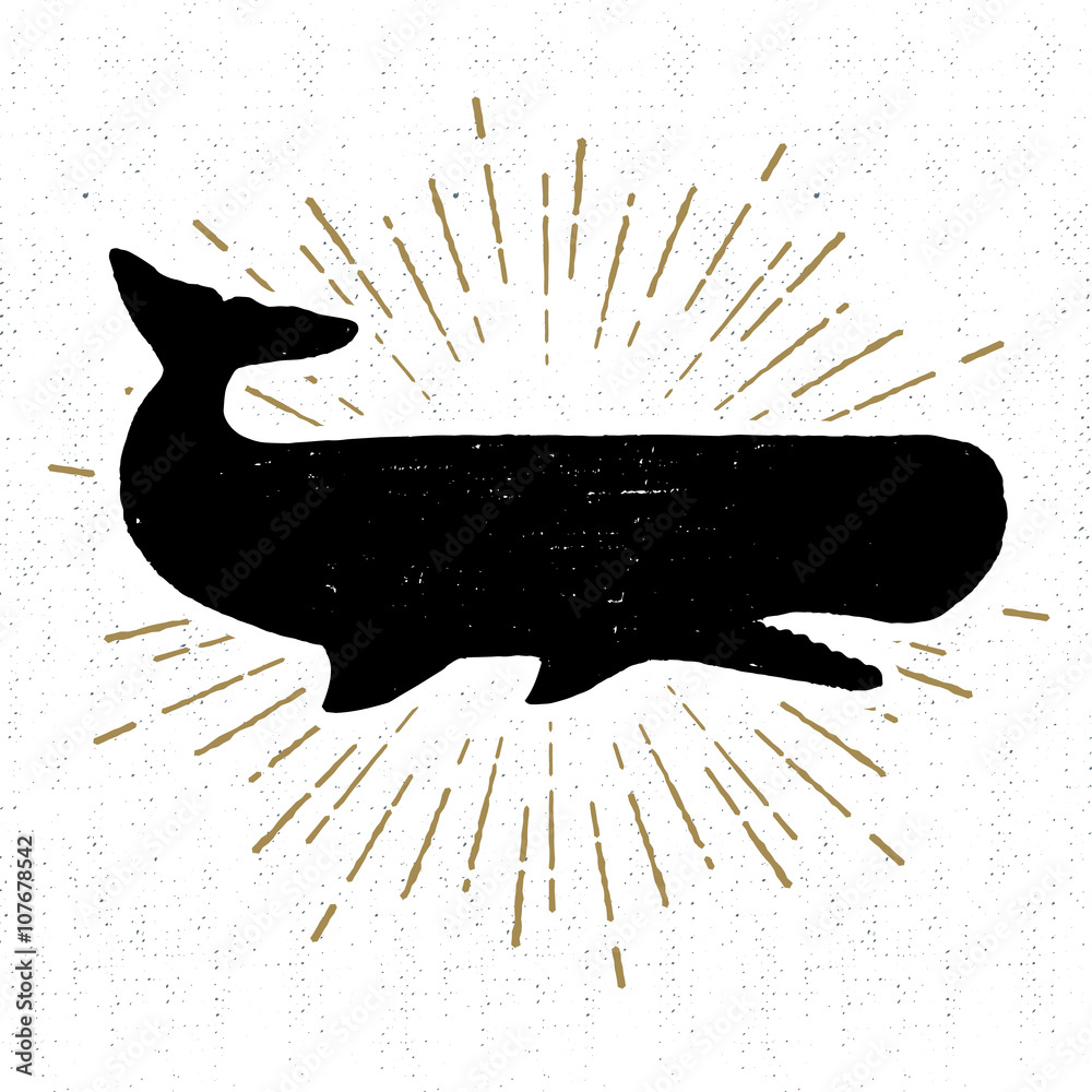 Fototapeta premium Hand drawn vintage icon with a textured sperm whale vector illustration.