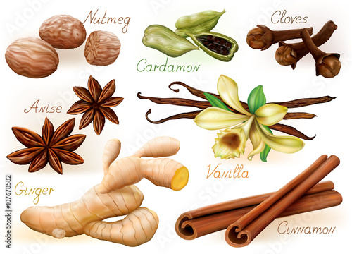 Spices set