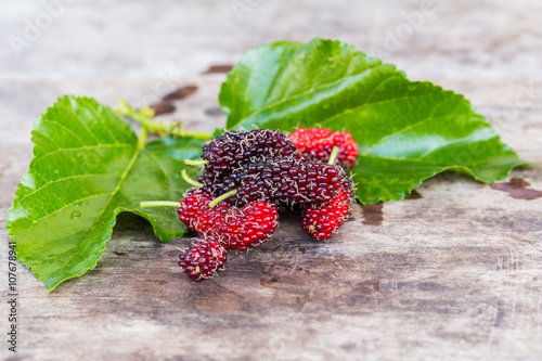Red mulberry on green leave