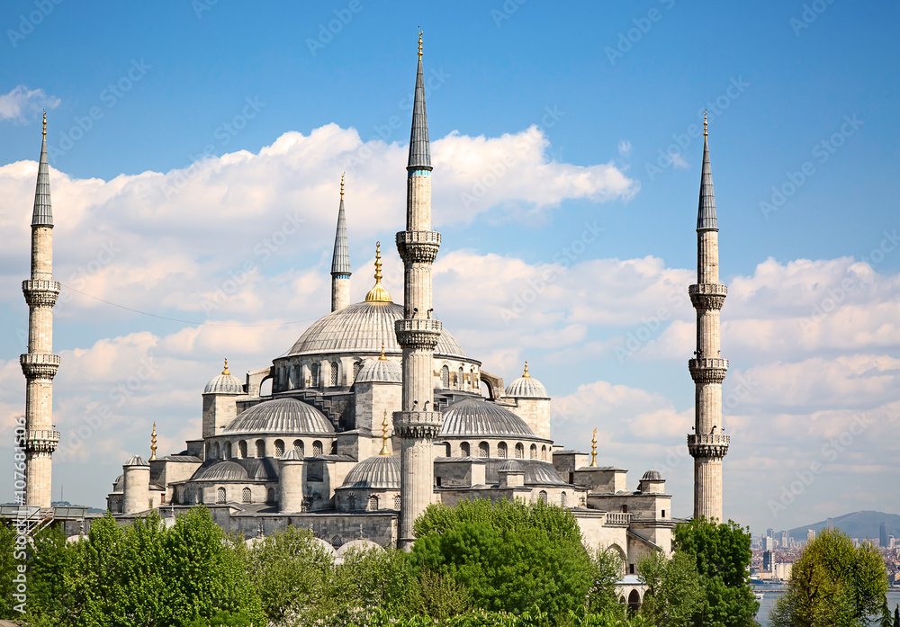Fototapeta premium Istanbul, Turkey