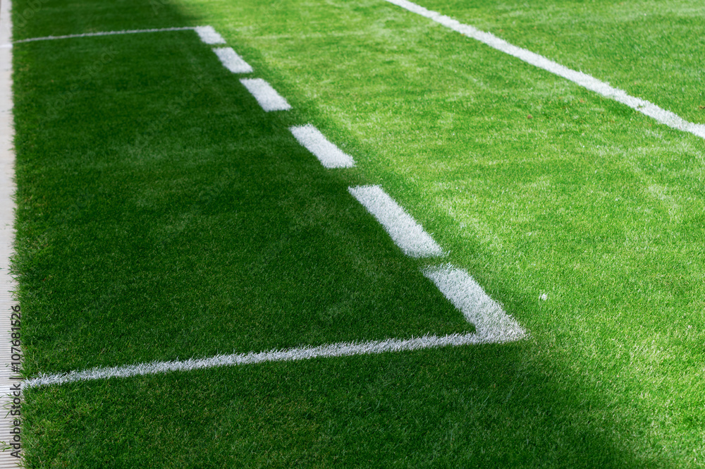 Perspective view of the lines of a soccer's field