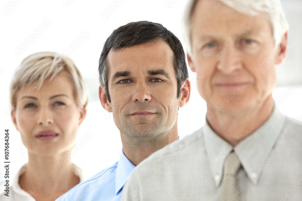 Business people in a row - portrait Business people in a row - portrait