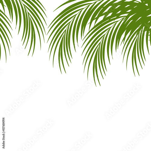 Palm leaf silhouettes background. Tropical leaves. Vector illustration