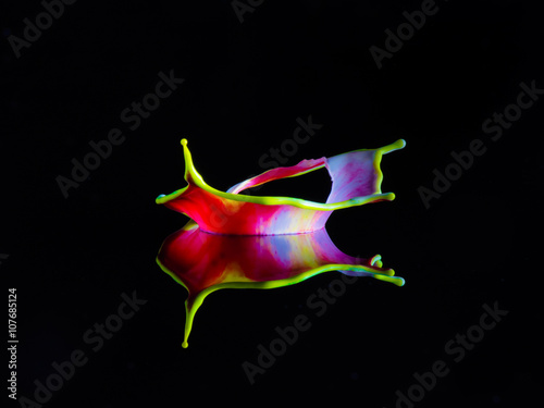 Liquid Art photo