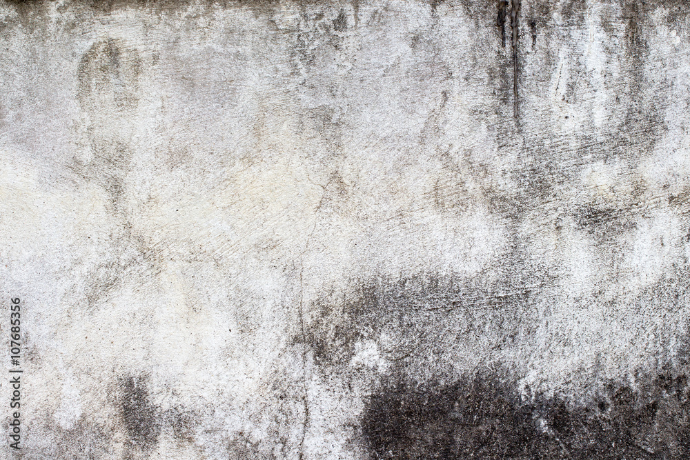 Fototapeta premium white concrete wall texture