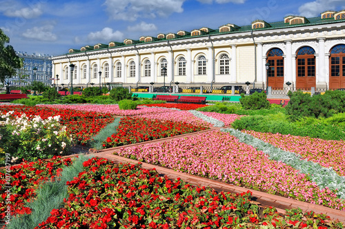 In the Alexander garden in Moscow is always blooming tulips and other flowers