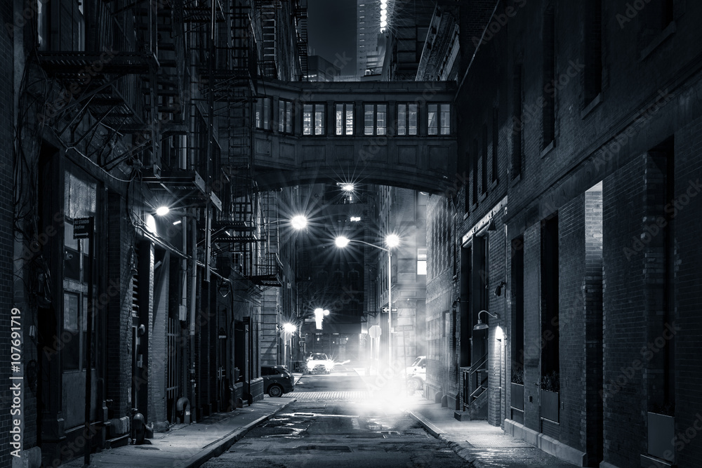Fototapeta premium Markotny monochromatyczny widok Staple ulicy skybridge nocą, w Tribeca, Miasto Nowy Jork