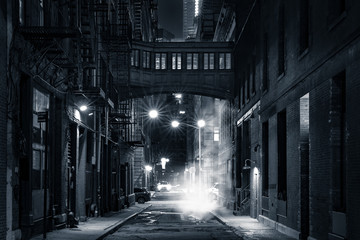 Fototapete New York Staple Street Skybridge bei Nacht  © mandritoiu