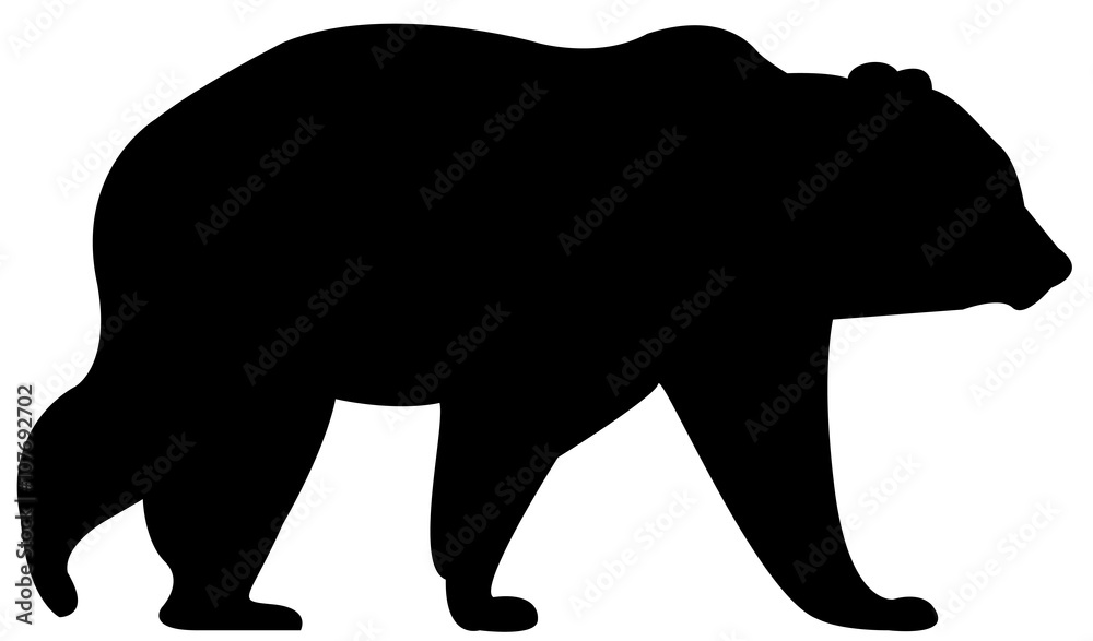 Fototapeta premium sylwetka niedźwiedzia