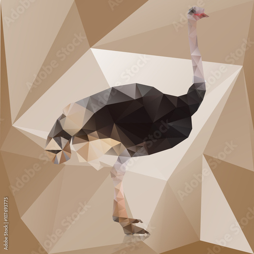 Color polygonal ostrich isolated on brown background . Vector illustration