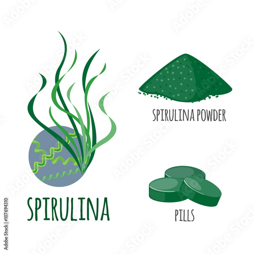 Superfood spirulina set in flat style.