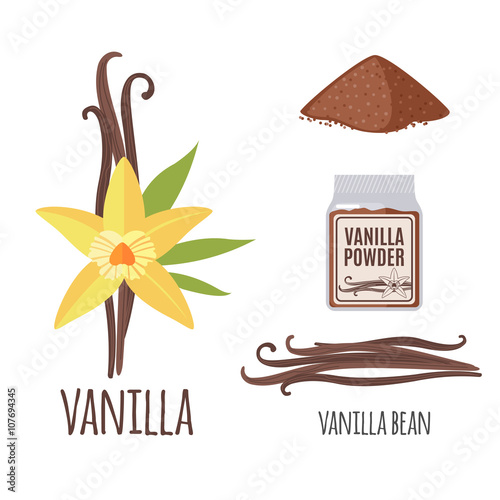 Superfood vanilla set in flat style.