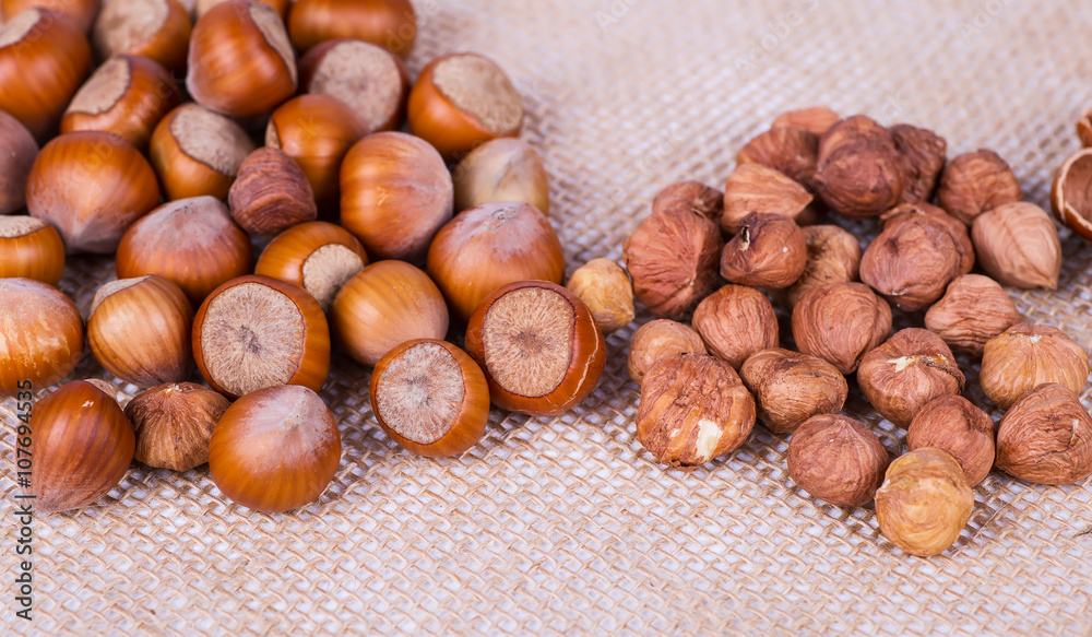 hazelnuts photo illustration