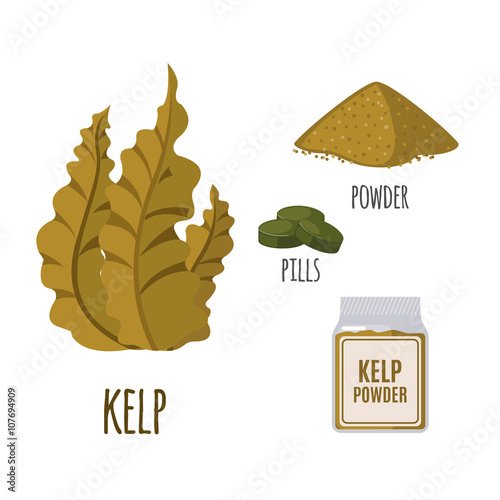 Superfood kelp set in flat style.