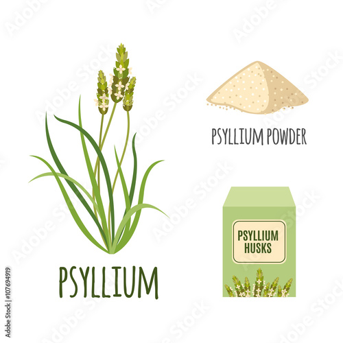Superfood psyllium set in flat style.