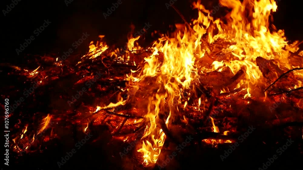 Fire, bonfire, forest fire, flames in slow motion x0.5. Violation of