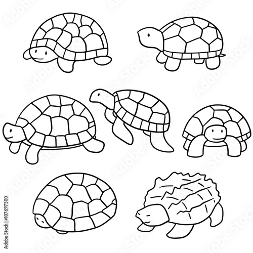 vector set of turtle