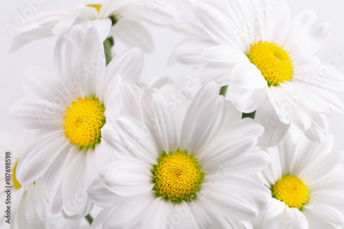 close up of daisies