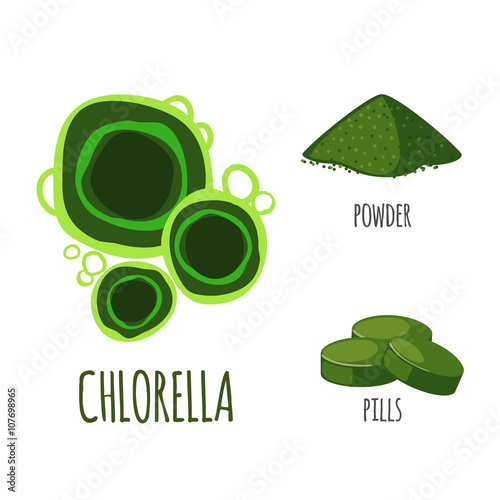 Superfood chlorella set in flat style.