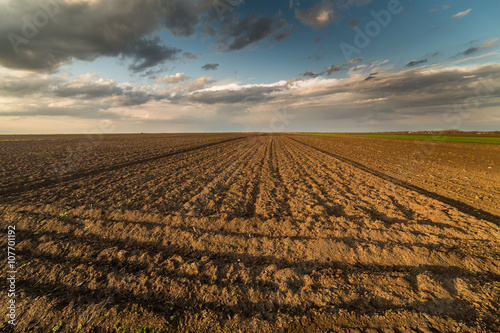 Agricultural landsape, arable crop field