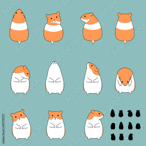 Set of hamster standing poses