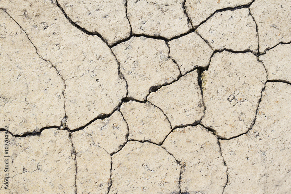 Fototapeta premium Cracked pavement brick