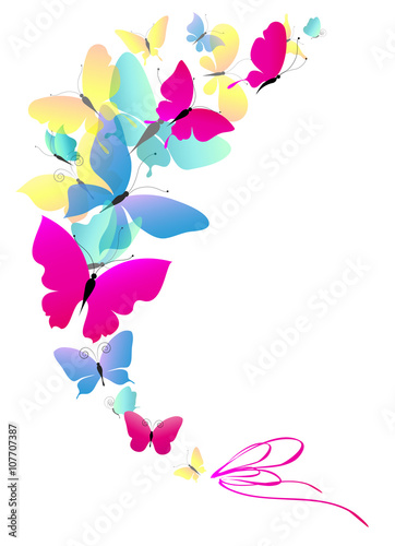 butterflies design