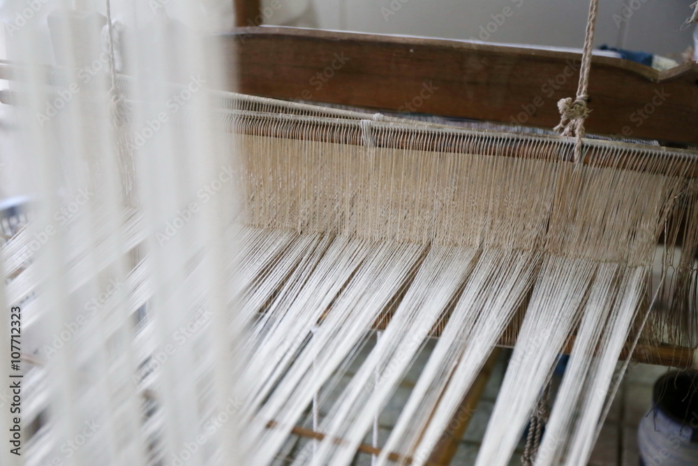 cotton on the loom