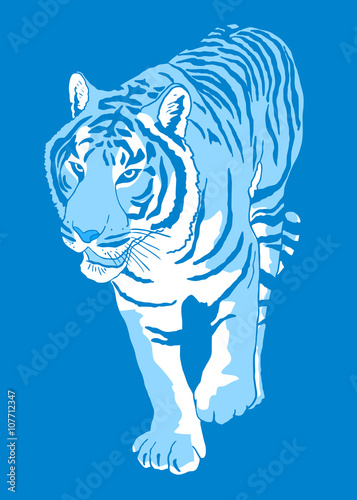 blue tiger illustration