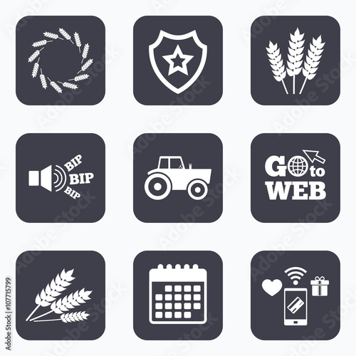 Agricultural icons. Wheat corn or Gluten free.
