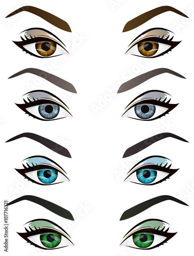 Set of realistic cartoon vector female eyes and eyebrows