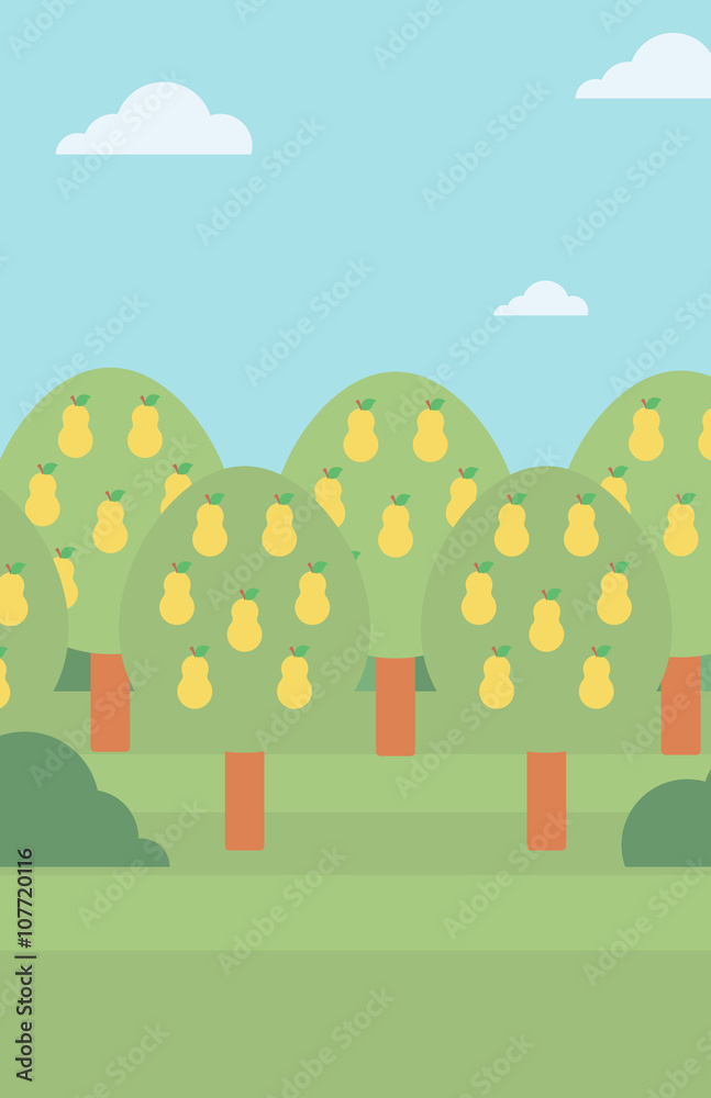 Fototapeta premium Background of pear trees.