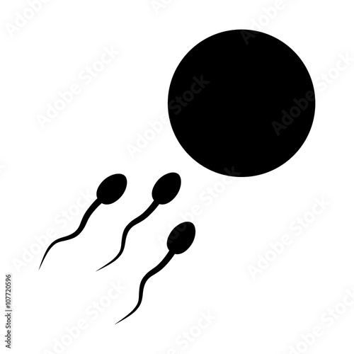 Sperm cells / spermatozoon swimming toward ovum egg flat icon for apps and websites