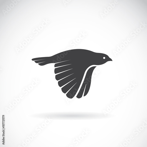 Vector image of an bird icon on white background. Finch