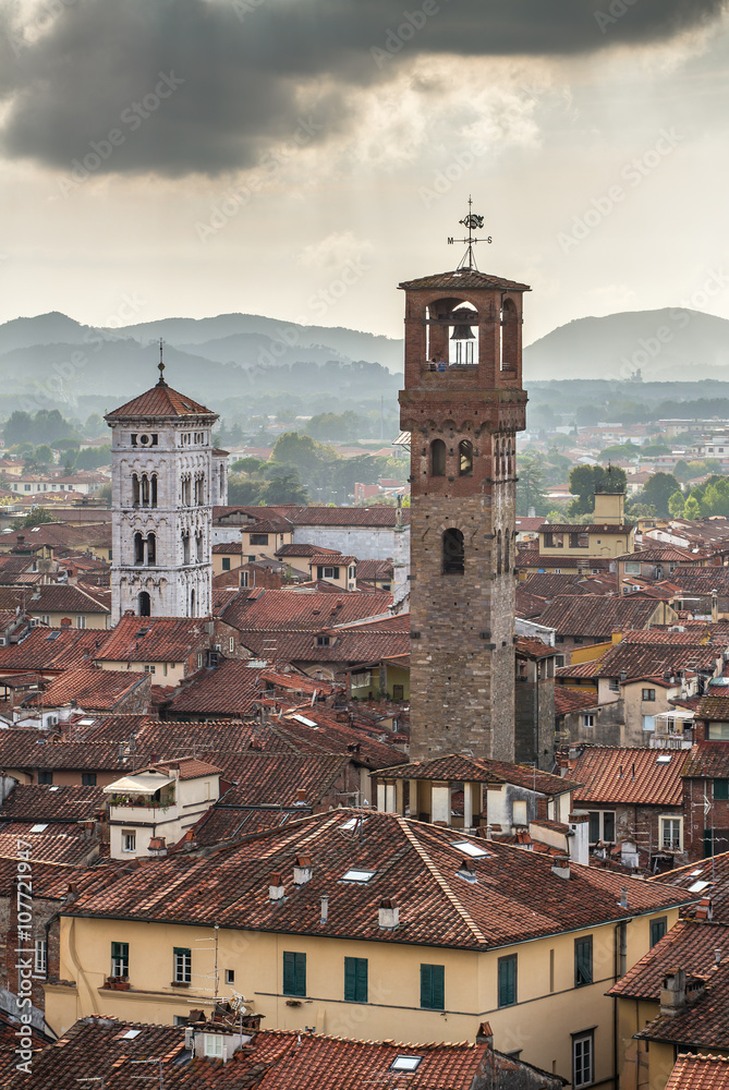 City view of Lucca from the Torre Guinigi, Italy