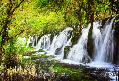 Scenic waterfall with crystal clear water among green forest