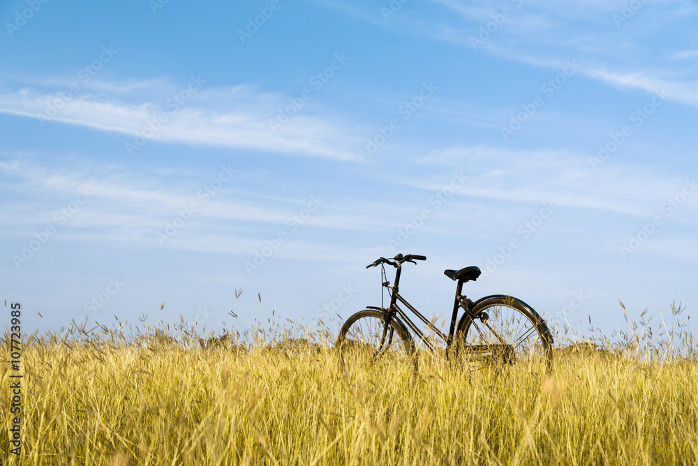 Obraz premium Vintage Bicycle, Old bicycle