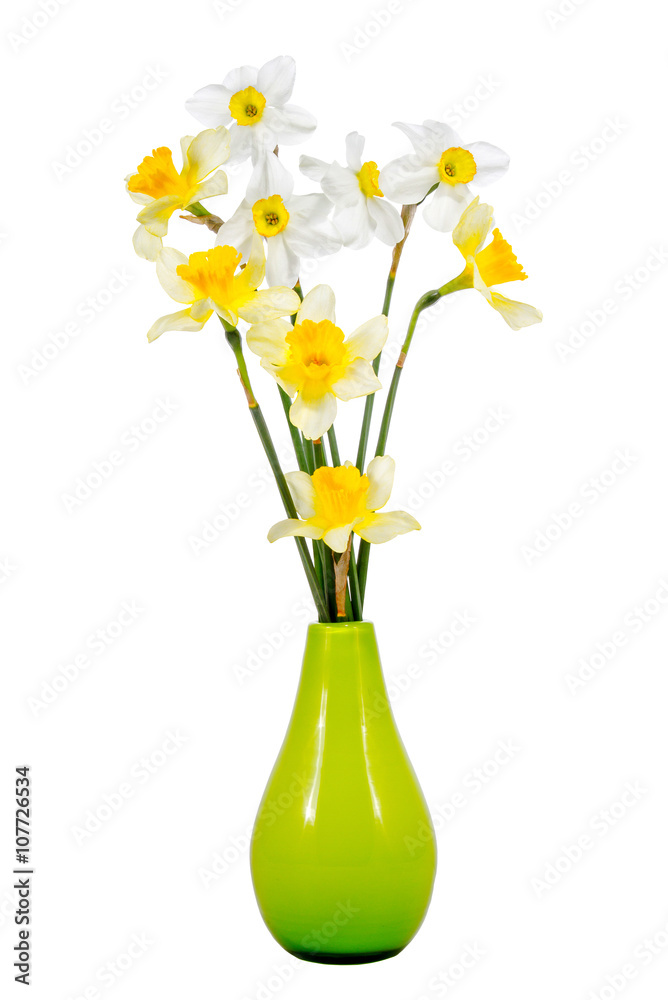 bouquet of daffodils on a white background bouquet of daffodils on a white background
