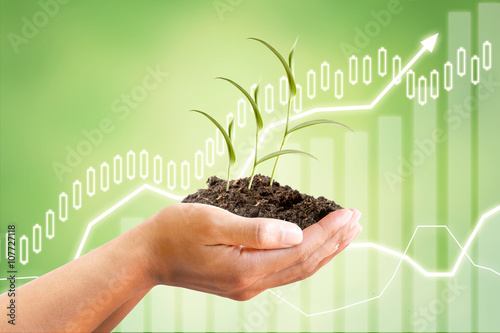 Hand holding Sprout tree with growing graph of financial or Market share or sale Income diagram on beautiful green abstract background. photo