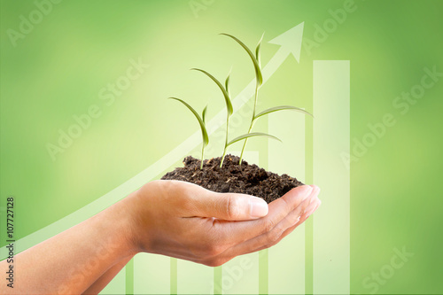 Hand and Sprout Tree with growing graph on beautiful green abstract background, metaphoric for Finance, Investment, Income, Interest, Business, Banking, Market share and Economy photo