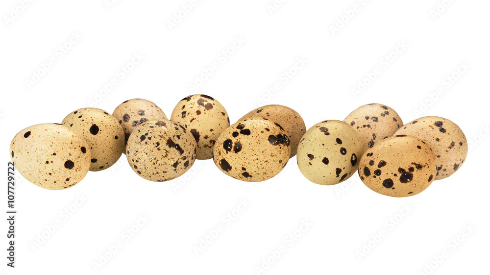 quail eggs isolated at white background quail eggs isolated at white background
