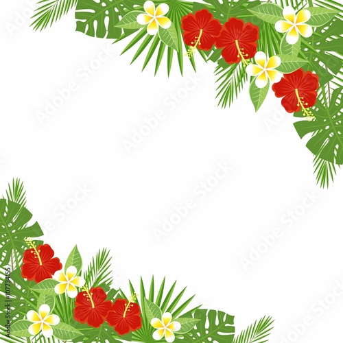 branches and leaves of tropical plants. Floral background with space for text. Tropical flowers and leaves - hibiscus, palm tree, Monstera, plumeria. Template for postcards, flyers, brochures.